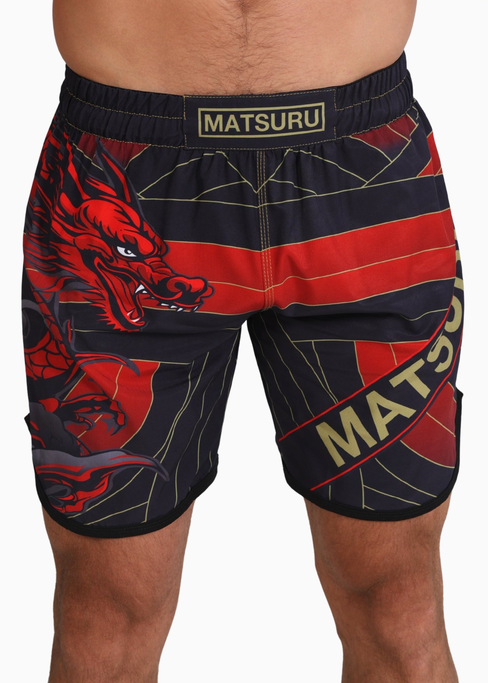 Dragon Grappling Shorts