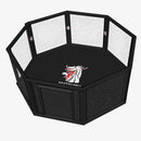 MMA Octagon