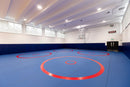 Wrestling Roll-Out Mats - Semi New - 50 feet x 50 feet