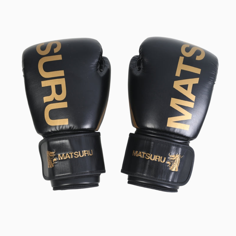 Pro Boxing Gloves