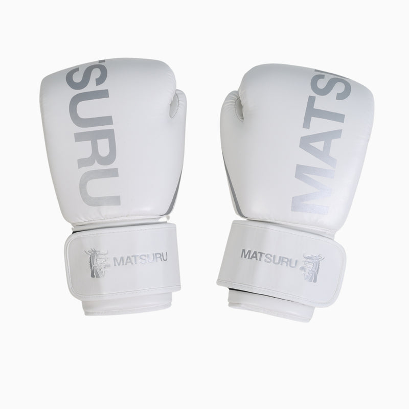 Pro Boxing Gloves