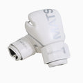 Pro Boxing Gloves