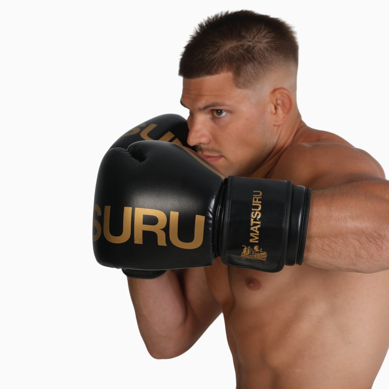 Pro Boxing Gloves