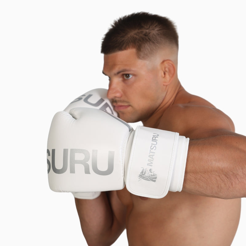 Pro Boxing Gloves