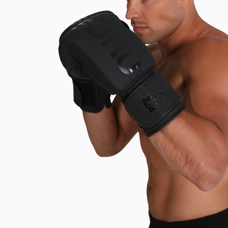 Pro Boxing Gloves