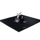 ''Home Roll-Out Mats'' Pro - 12' x 12'